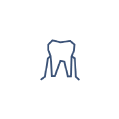 Periodoncia
